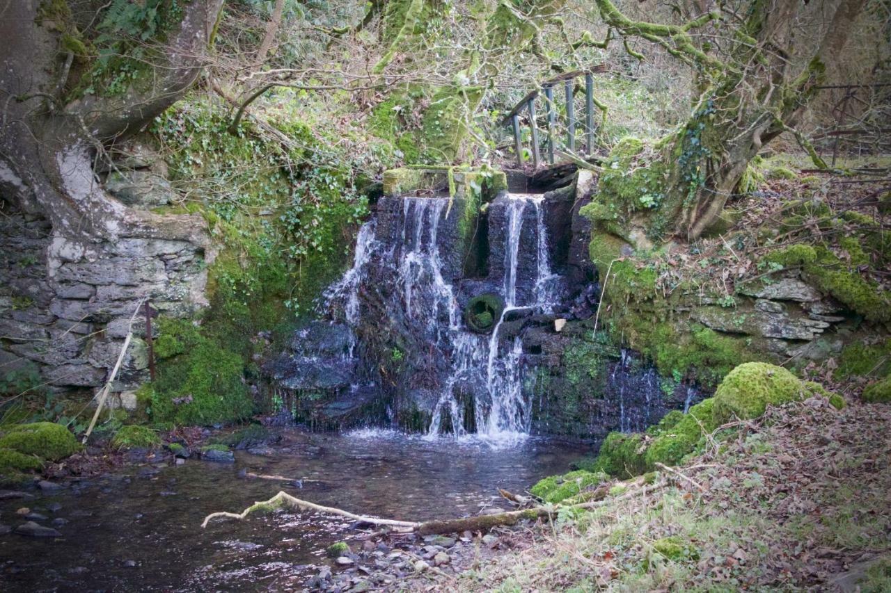 Waterfall Cottage لاونسستون المظهر الخارجي الصورة